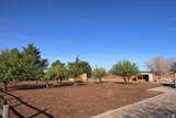 1442 Diamond Valley Dr - Photo 25