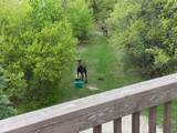 46 Alder Ct - Photo 29
