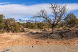 12 Pritchett Arch Trl - Photo 16