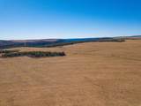 100 Pearson Cutoff Rd - Photo 7