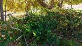 435 Tbd E. Berry Ln - Photo 32