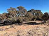  Address Not Published - Photo 15