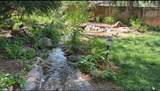 552 Nichols Ln - Photo 2