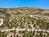 35700 Strawberry River Rd - Photo 11