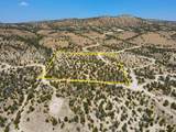 35700 Strawberry River Rd - Photo 12