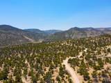 35700 Strawberry River Rd - Photo 16