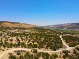35700 Strawberry River Rd - Photo 17