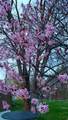 150 300 - Photo 35