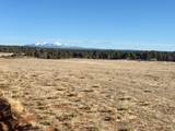 259 Old Hwy - Photo 1