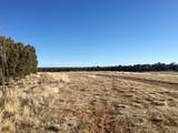 259 Old Hwy - Photo 3