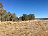 259 Old Hwy - Photo 4