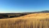 255 Mail Route Rd - Photo 2