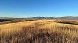 255 Mail Route Rd - Photo 22
