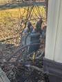 2915 Center St - Photo 16