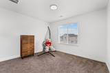 3684 Alluvial Dr - Photo 14
