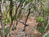 553 Raspberry Patch Rd - Photo 4