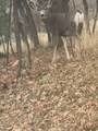 131 Meadow Dr - Photo 27