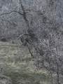 541 Left Fork Hobb Rd - Photo 12