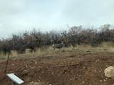 541 Left Fork Hobb Rd - Photo 16