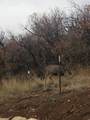 541 Left Fork Hobb Rd - Photo 17