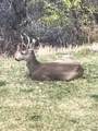 541 Left Fork Hobb Rd - Photo 9