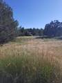 2835 2200 - Photo 12
