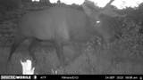 1100 Deer Pasture Rd - Photo 11