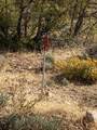 1100 Deer Pasture Rd - Photo 14