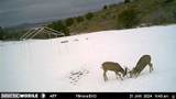 1100 Deer Pasture Rd - Photo 20