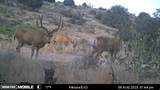 1100 Deer Pasture Rd - Photo 22