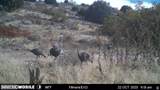1100 Deer Pasture Rd - Photo 23