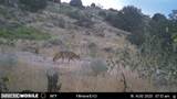 1100 Deer Pasture Rd - Photo 24