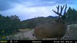 1100 Deer Pasture Rd - Photo 8