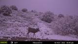 1100 Deer Pasture Rd - Photo 10