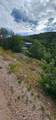 1105 Broad Rd - Photo 9