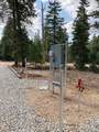 3120 Henry Rd - Photo 6