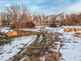 1289 Bamberger Rd - Photo 10