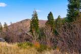 7092 Canyon Dr - Photo 13