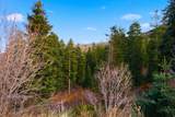 7092 Canyon Dr - Photo 14