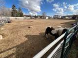 3463 14400 - Photo 4