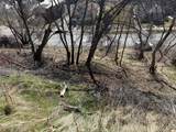 745 Canyon Rd - Photo 12