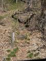 745 Canyon Rd - Photo 3