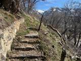 745 Canyon Rd - Photo 10