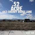 663 Cherry Ridge Ln - Photo 1