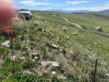 262 Sage - Photo 2