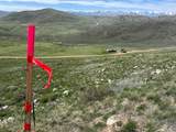 262 Sage - Photo 5