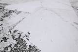  Address Not Published - Photo 2