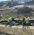 365 Edgehill Dr - Photo 37