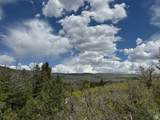 9395 Ridge Pine Rd - Photo 3
