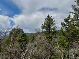 9395 Ridge Pine Rd - Photo 4